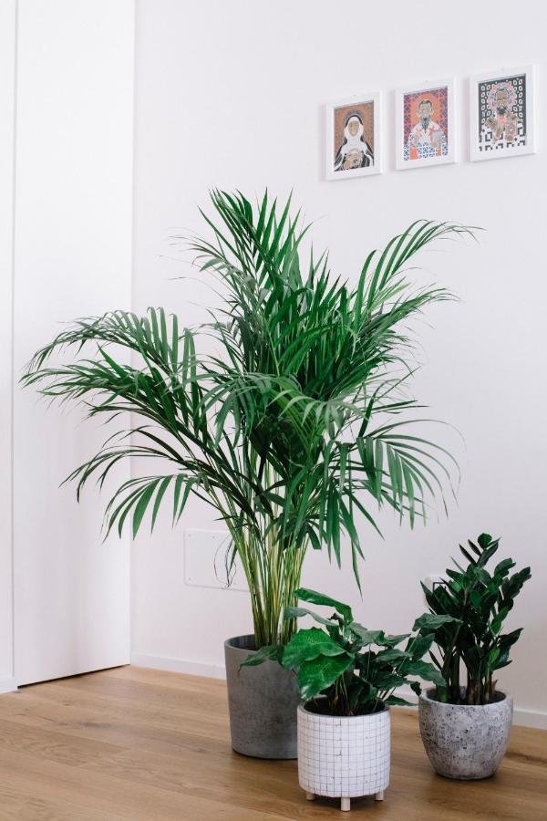 Stay Apartments モルフェッタ エクステリア 写真
